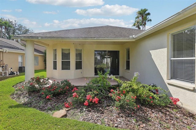 3311 Stonebridge Trl, Valrico, FL 33596 - view of exterior entry featuring stucco siding, a yard, a patio, and a shingled roof