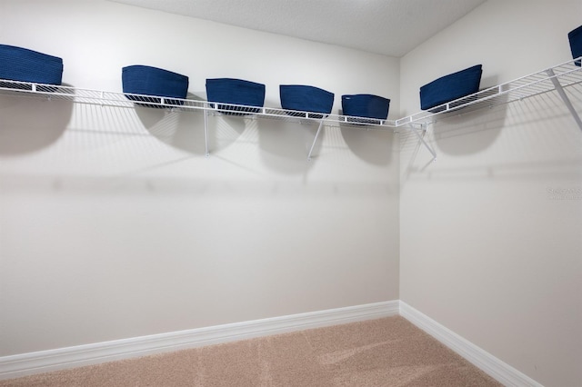 6236 SW 95th Pl, Ocala, FL 34476 - walk in closet featuring carpet