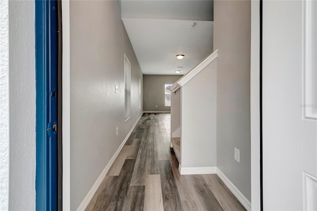 1107 Seminole Sky Dr, Ruskin, FL 33570 - hallway with wood finished floors and baseboards