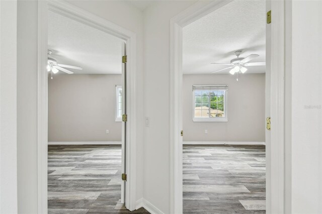 16206 Nottingham Park Way, Tampa, FL 33647 - photo 35