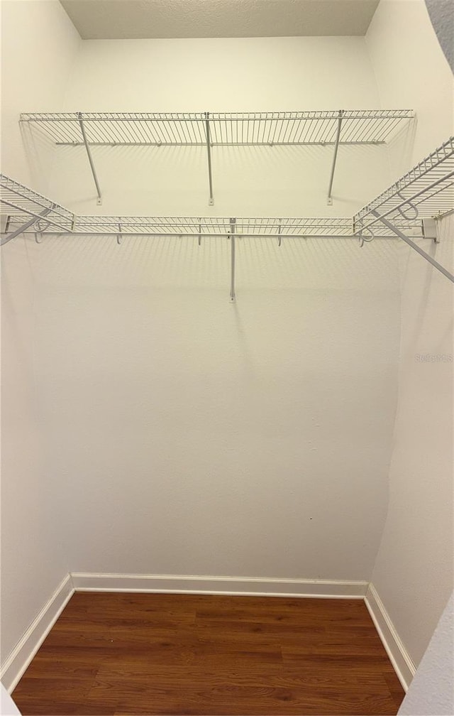 spacious closet with dark wood-type flooring