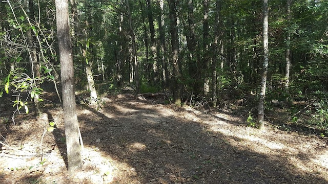 0000 Rooks Dr, Marianna, FL 32446 - photo 3