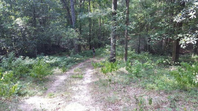 0000 Rooks Dr, Marianna, FL 32446 - photo 4
