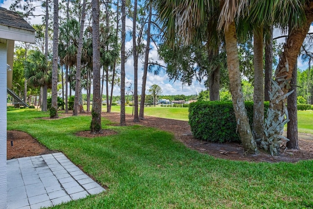 9500 Green Needle Dr, New Port Richey, FL 34655 - photo 37