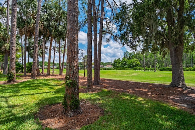 9500 Green Needle Dr, New Port Richey, FL 34655 - photo 38