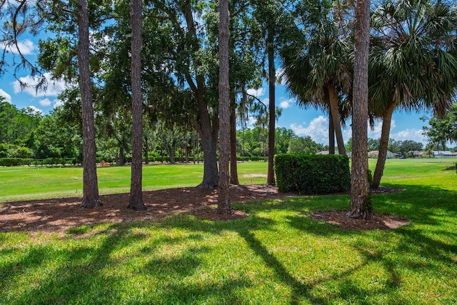 9500 Green Needle Dr, New Port Richey, FL 34655 - photo 39