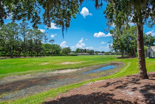 9500 Green Needle Dr, New Port Richey, FL 34655 - photo 40