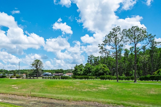 9500 Green Needle Dr, New Port Richey, FL 34655 - photo 41