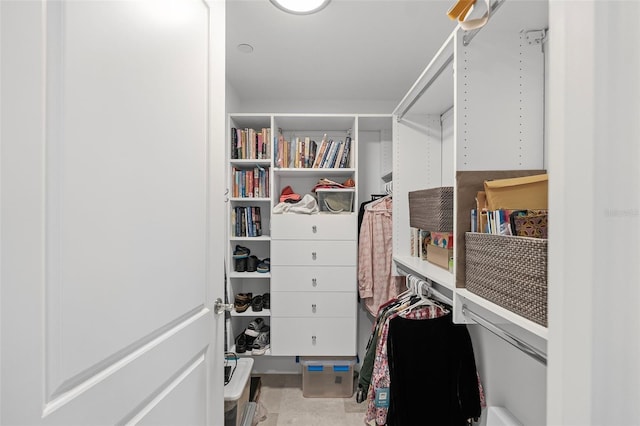 300 Beach Dr NE Unit 401, Saint Petersburg, FL 33701 - view of walk in closet