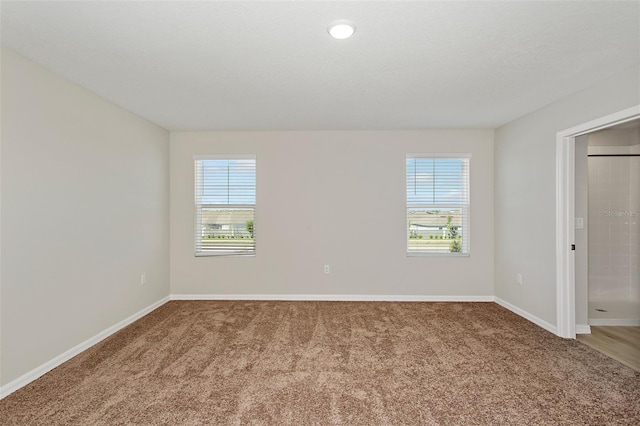 carpeted empty room with plenty of natural light and baseboards