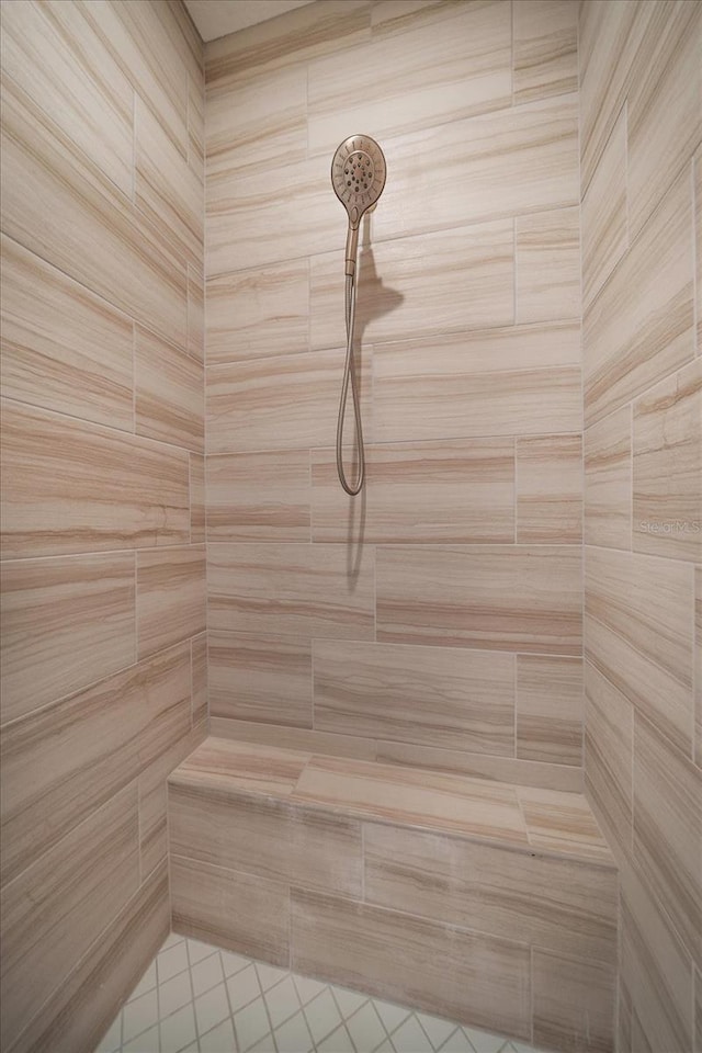 5547 Silver Sun Dr, Apollo Beach, FL 33572 - full bath featuring a tile shower