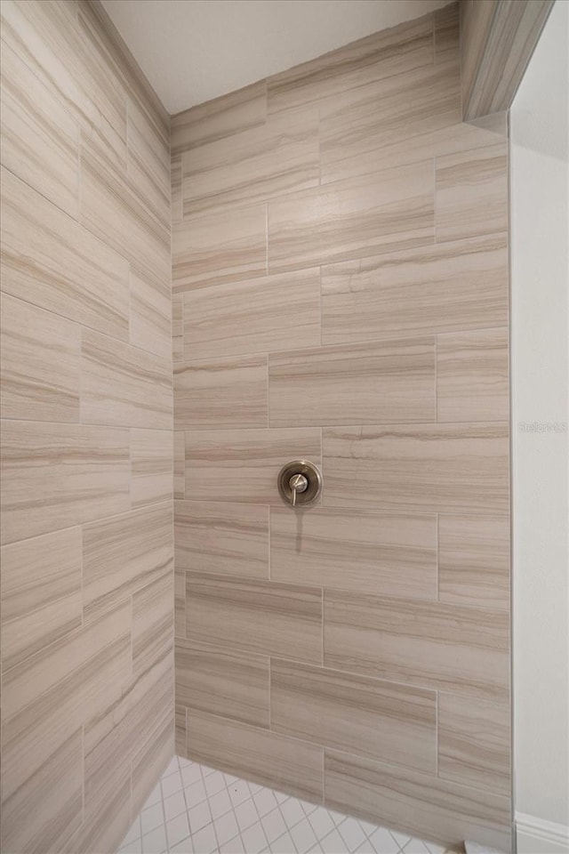 5547 Silver Sun Dr, Apollo Beach, FL 33572 - bathroom with tiled shower