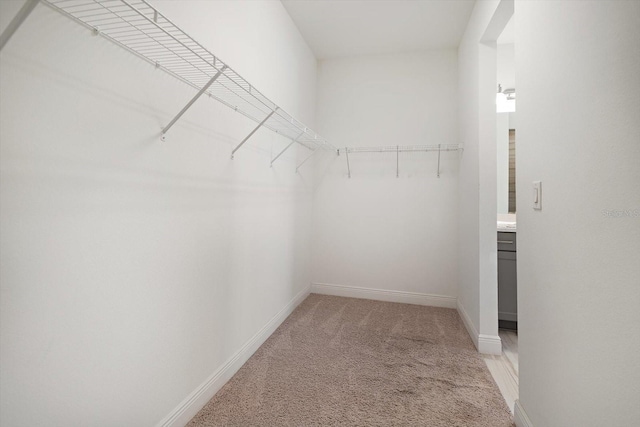 5547 Silver Sun Dr, Apollo Beach, FL 33572 - walk in closet with light carpet