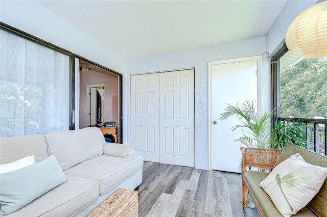 2139 Elm St Unit 308, Dunedin, FL 34698 - living area with wood finished floors