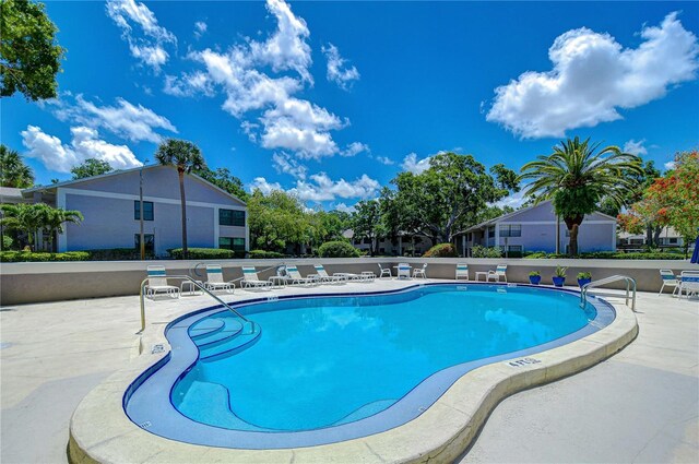 2139 Elm St Unit 308, Dunedin, FL 34698 - community pool with a patio area