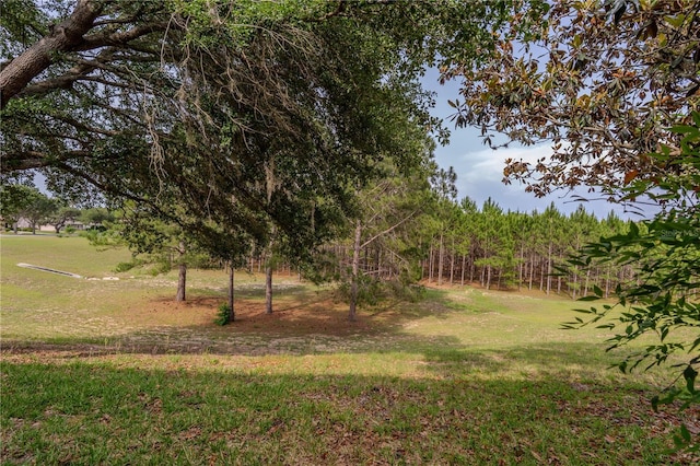 view of green lawn