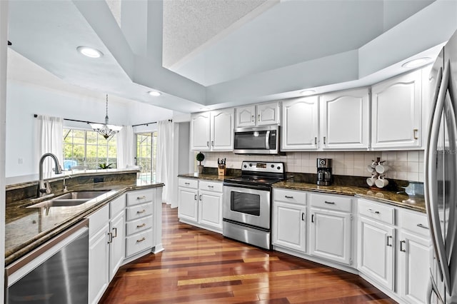 16804 Windsor Park Dr, Lutz, FL 33549 - kitchen with appliances with stainless steel finishes, a sink, dark wood-style floors, white cabinetry, and recessed lighting