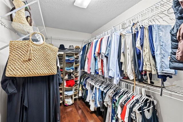 16804 Windsor Park Dr, Lutz, FL 33549 - spacious closet featuring wood finished floors