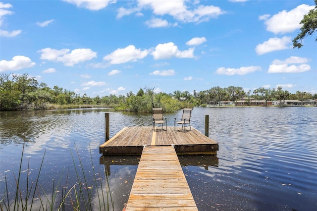 dock with a water view