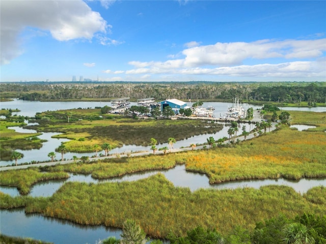 2695 N Seabreeze Pt Unit I1, Crystal River, FL 34429 - bird's eye view of a large body of water