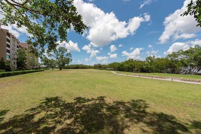 2617 Cove Cay Dr Unit 206, Clearwater, FL 33760 - photo 33