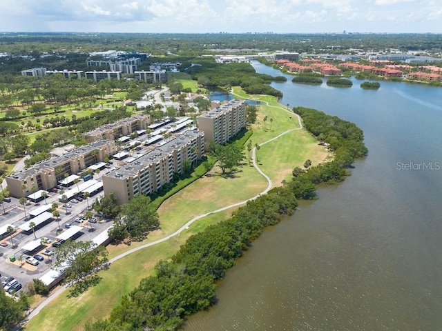 2617 Cove Cay Dr Unit 206, Clearwater, FL 33760 - photo 44