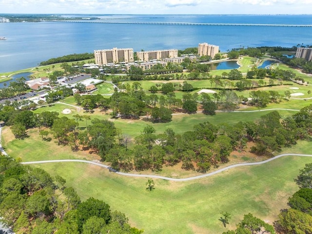 2617 Cove Cay Dr Unit 206, Clearwater, FL 33760 - photo 50