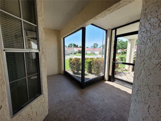946 Madrid Dr, Palm Harbor, FL 34684 - photo 2