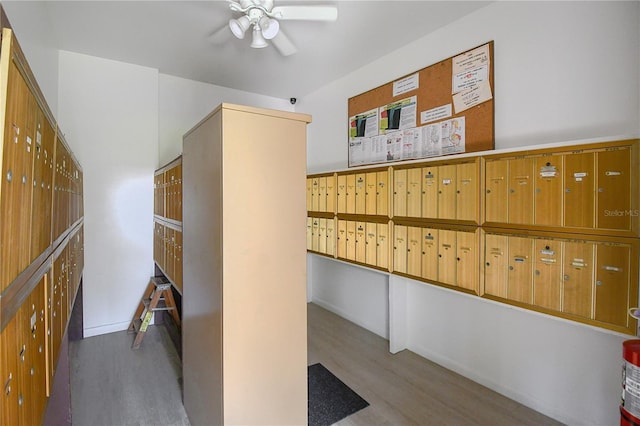 view of community with mail area and ceiling fan