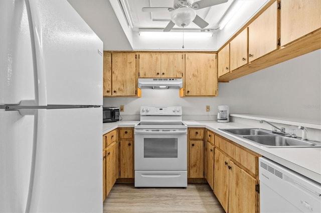 39650 US Highway 19 N Unit 553, Tarpon Springs, FL 34689 - kitchen featuring white appliances, under cabinet range hood, a sink, ceiling fan, and light wood finished floors