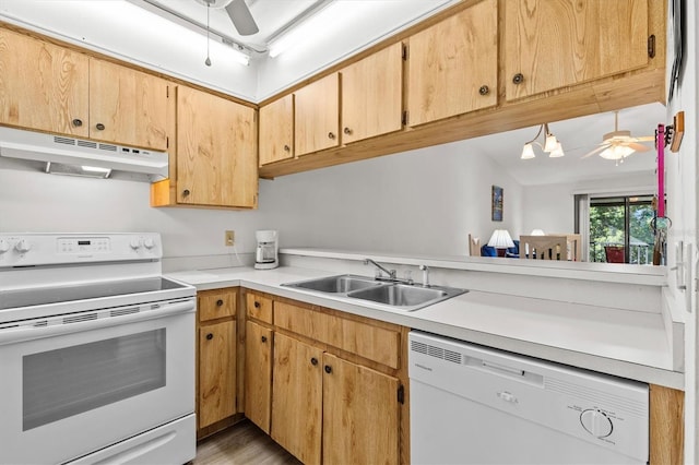 39650 US Highway 19 N Unit 553, Tarpon Springs, FL 34689 - kitchen featuring white appliances, under cabinet range hood, ceiling fan, and a sink