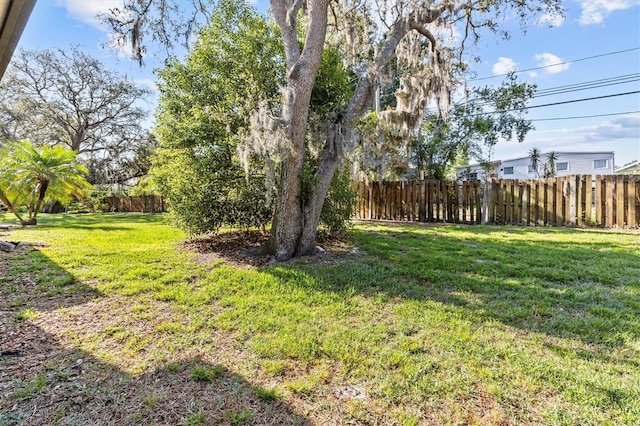 39650 US Highway 19 N Unit 553, Tarpon Springs, FL 34689 - view of yard
