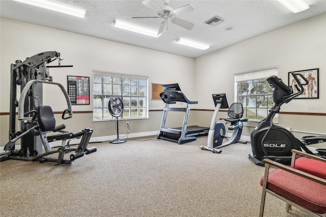 workout area with plenty of natural light, a ceiling fan, a textured ceiling, baseboards, and carpet