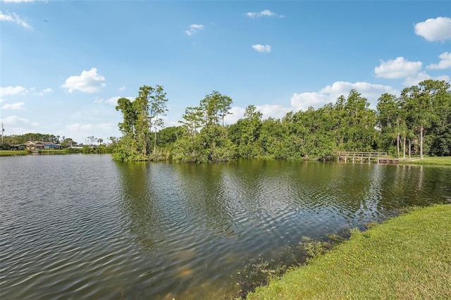 1613 Comfy Ct, Sun City Center, FL 33573 - photo 28