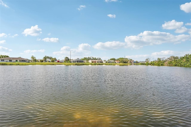 1613 Comfy Ct, Sun City Center, FL 33573 - photo 30