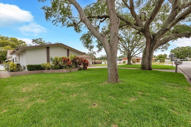1666 Souvenir Dr, Clearwater, FL 33755 - view of green lawn