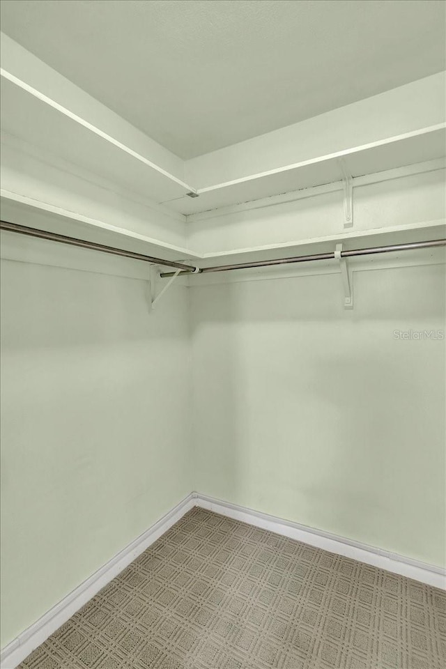 1666 Souvenir Dr, Clearwater, FL 33755 - view of walk in closet