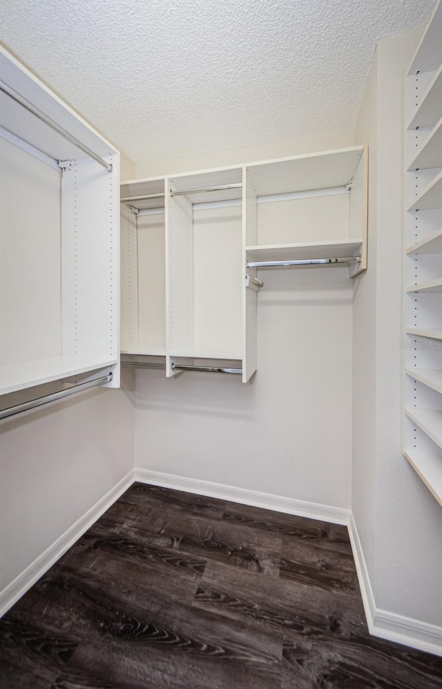 1712 Crossvine Ct, Trinity, FL 34655 - walk in closet featuring wood finished floors