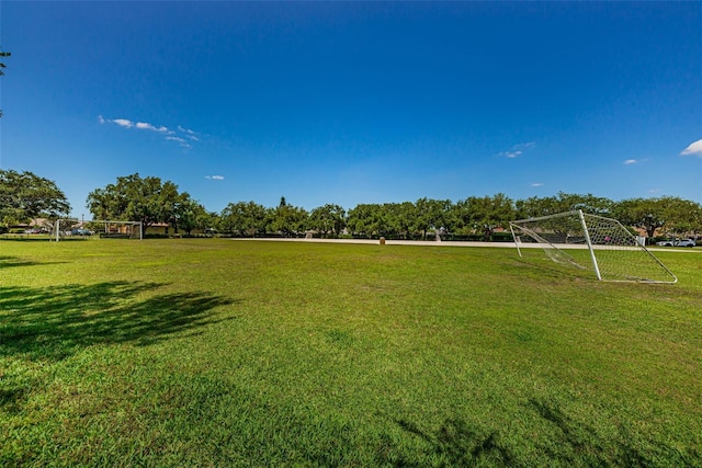 1712 Crossvine Ct, Trinity, FL 34655 - view of yard with an area for sports