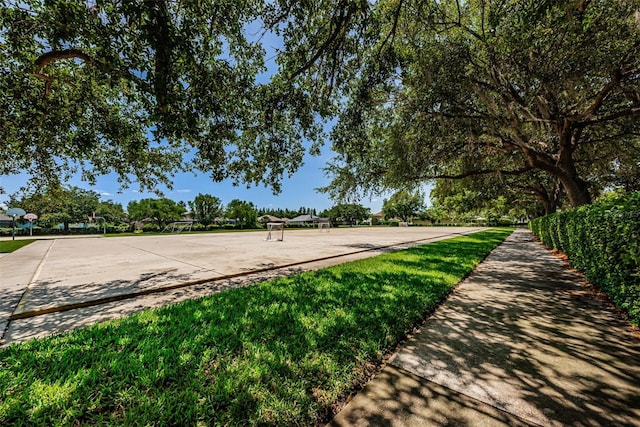 1712 Crossvine Ct, Trinity, FL 34655 - view of road
