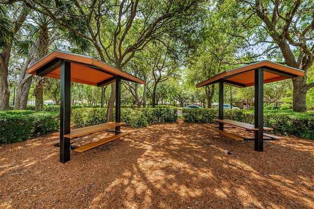 1712 Crossvine Ct, Trinity, FL 34655 - view of yard with a gazebo