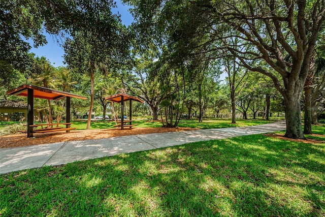 1712 Crossvine Ct, Trinity, FL 34655 - view of green lawn
