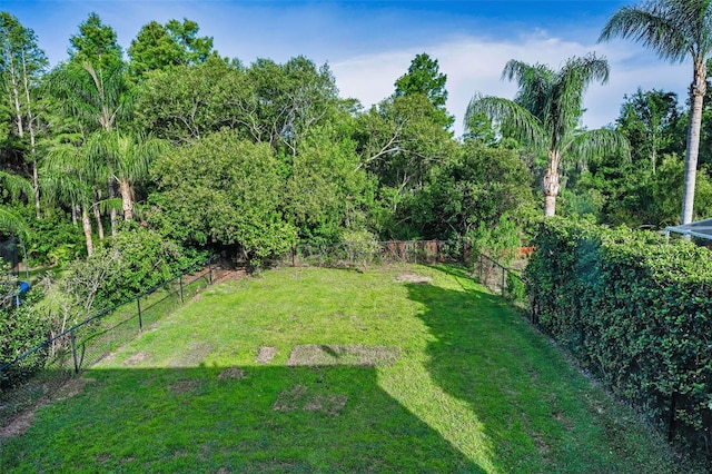 1712 Crossvine Ct, Trinity, FL 34655 - view of fenced backyard