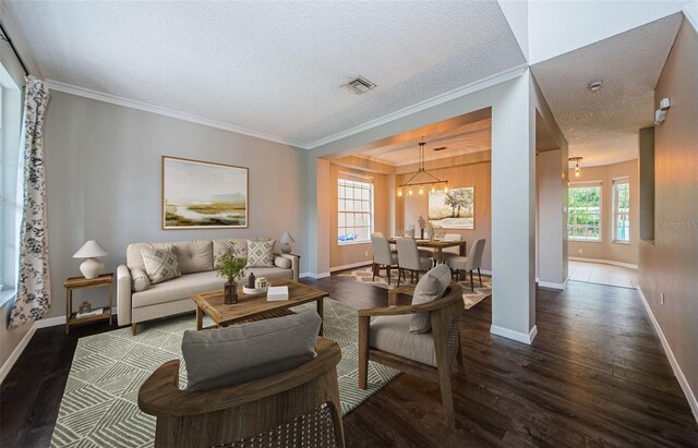 1712 Crossvine Ct, Trinity, FL 34655 - living area with wood finished floors, a textured ceiling, a chandelier, and crown molding