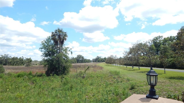 0 US Highway 98, Dade City, FL 33525 - photo 2