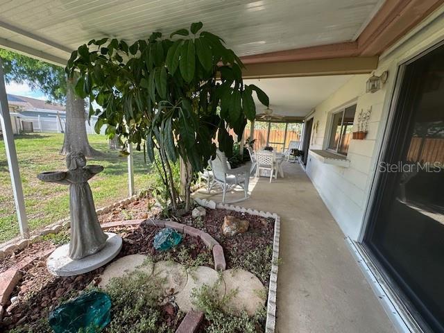view of yard featuring a patio