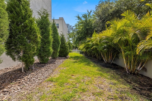 view of grassy yard