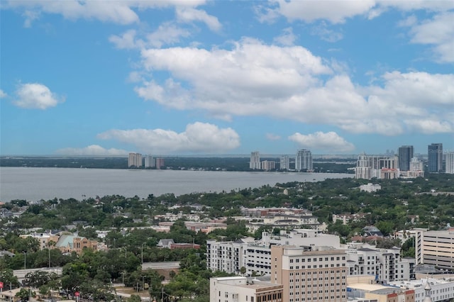 777 N Ashley Dr Unit 2608, Tampa, FL 33602 - photo 23
