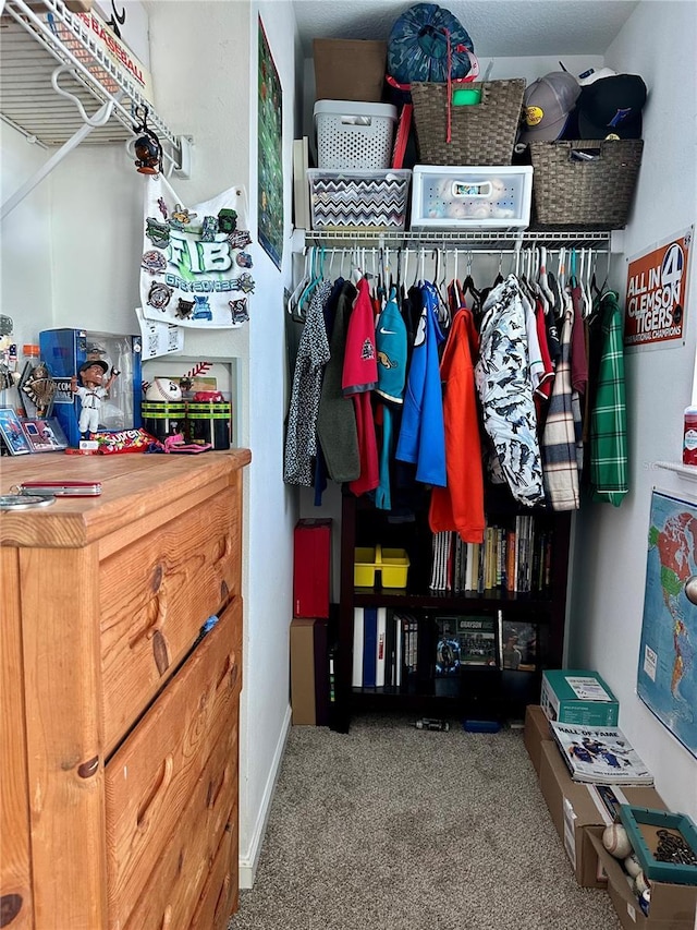 12327 Eagle Swoop Pl, Riverview, FL 33579 - spacious closet featuring carpet flooring