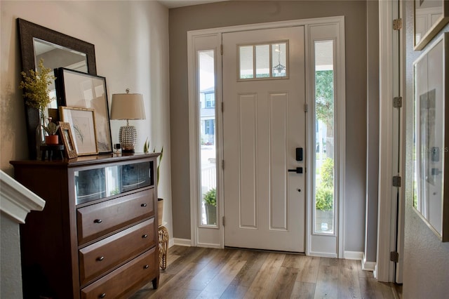 12327 Eagle Swoop Pl, Riverview, FL 33579 - foyer entrance with wood finished floors, plenty of natural light, and baseboards